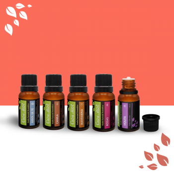 KIT BÁSICO  ESENCIAL